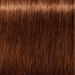 Igora Royal Absolutes #6-60 - Additional view 2