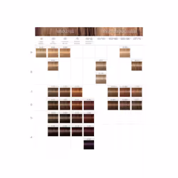 Schwarzkopf Igora Royal Absolutes Age Blend hair colour Brown 60 ml