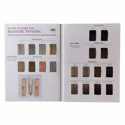 Schwarzkopf BlondMe Blonde Toning Shade Guide