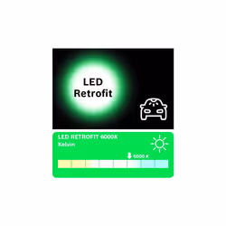 Bosch -C5W (- 239) LED Retrofit Car Light Bulbs - 12 V 1 W SV8,5-8 35 mm - 2 Bulbs