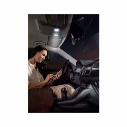 Bosch -C5W (- 239) LED Retrofit Car Light Bulbs - 12 V 1 W SV8,5-8 35 mm - 2 Bulbs - Additional view 8