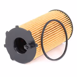 BOSCH F 026 407 207 Oil filter with gasket/seal Filter Insert JEEP: WRANGLER 3, Cherokee IV, DODGE: Nitro Off-Road