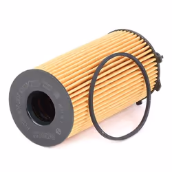 BOSCH F 026 407 207 Oil filter with gasket/seal Filter Insert JEEP: WRANGLER 3, Cherokee IV, DODGE: Nitro Off-Road