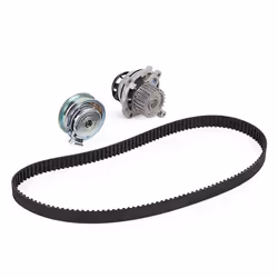 BOSCH 1 987 946 391 Water Pump + Timing Belt Kit 138 1104 23 VOLKSWAGEN: New Beetle Convertible, SEAT: Leon II Hatchback, SKODA: Octavia II Hatchback