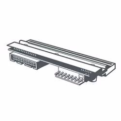 Zebra 104612, TTP2100