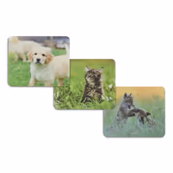 Hama Animal, Multicolour, Image, Polypropylene (PP), Non-slip base