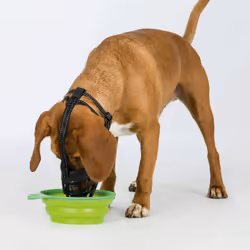 TRIXIE 17616 dog/cat muzzle - Additional view 5