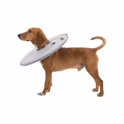 protective collar 23-27 x 13 cm polyester/foam grey