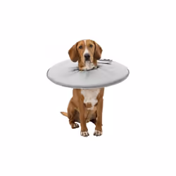 protection collar Dog 53-56 x 27 cm polyester grey