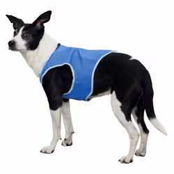 TRIXIE 30131 dog/cat outerwear XS Blue PVA Jacket