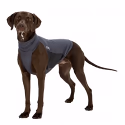 TRIXIE 30401 S Grey Polyester Dog Coat