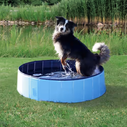 TRIXIE 39482, Pet hard paddling pool, Round, Plastic, 1200 mm, 1200 mm, 300 mm