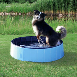 TRIXIE 39482 dog paddling pool Pet hard paddling pool