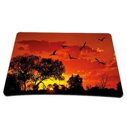 PEDEA 67007060 mouse pad Multicolour