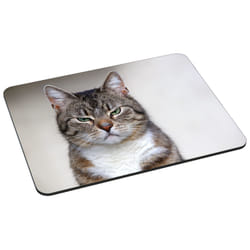 PEDEA 67007083 mouse pad Multicolour