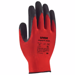 Uvex PL 6628, Black, Red, Adult, Adult, 10 pc(s), Polyester