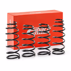 EIBACH Pro-Kit E10-55-019-03-22 Suspension Kit, coil springs