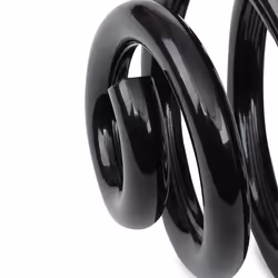 EIBACH Single Spring ERL (OE-Replacement) R10091 Coil spring Rear Axle Coil spring with constant wire diameter for vehicles with standard suspension