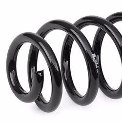 EIBACH R10305 Coil spring Rear Axle Coil spring with constant wire diameter VOLKSWAGEN: Passat B6 Variant