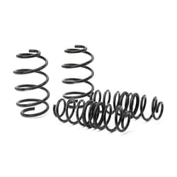 EIBACH E10-65-035-02-22 Suspension Kit, coil springs