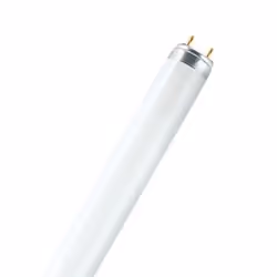 Osram L 15 W/840, 15 W, G13, T8, 20000 h, 950 lm, Cool white