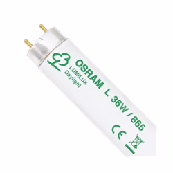 Osram T8 Fluorescent Tube 36W 4ft 6500K - Cool Daylight