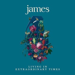 ImportCDs Living in Extraordinary Times CD Pop rock
