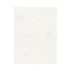 Glow in the Dark Stars Wallpaper White AS Creation 32440-1