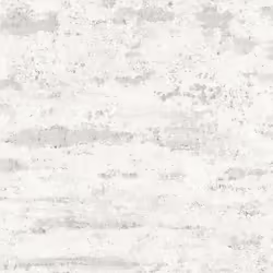 Industrial Wall Texture Wallpaper White AS Creation AS374152