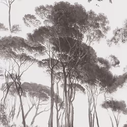 AS Creation Forest Woodlands Trees Nature Wallpaper Vinyl Non Woven Textured - Black White 37651-1
