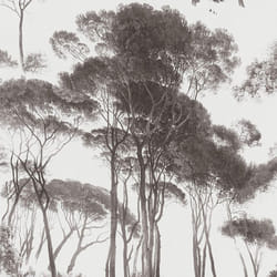 AS Creation Forest Woodlands Trees Nature Wallpaper Vinyl Non Woven Textured - Black White 37651-1