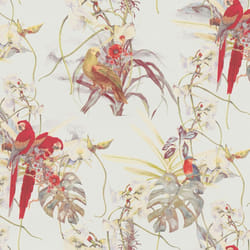 AS Creation Exotic Birds Wallpaper Cream Colorfull Parrots Paste The Wall
