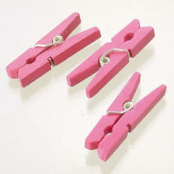 Efco 1402532 clothespins 40 pc(s) Wood