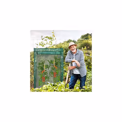 Relaxdays PE 150 cm Tall Greenhouse for Tomatoes Greenhouse Growhouse Cold Frame Steel Frame Foil/Fabric Tarpaulin Sturdy, Green
