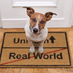 Relaxdays Coir Doormat Unicorn/Real World