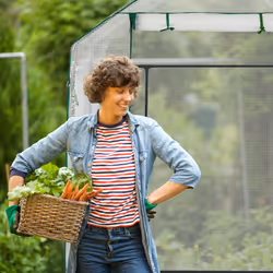 Relaxdays 10023332 cold frame/greenhouse