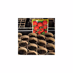 Set of 80 Flower Pots, Biodegradable, Planter, Cellulose, Round, 8 cm, Beige, 100% paper, Pack of 80