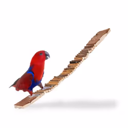Relaxdays Small Animal / Bird Wooden Ladder
