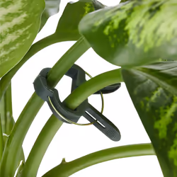 Relaxdays Plant Growing Supports, Stable Plant Clips, Twist Ties, Binding Wire Reel with Cutter, Green