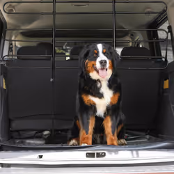 Relaxdays 10025123 pet carrier