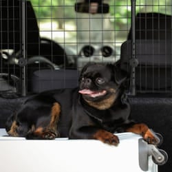 Relaxdays 10030965 pet carrier