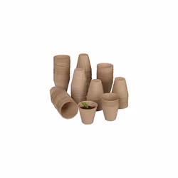 Set of 120 Biodegradable Cellulose Cultivation Pots H x D 75 x 8 cm Round Propagators Small Natural