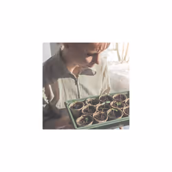 Set of 120 Biodegradable Cellulose Cultivation Pots H x D 75 x 8 cm Round Propagators Small Natural
