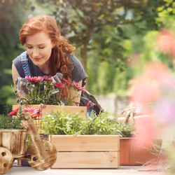 Relaxdays 10037612 flowerpot 1 pc(s)