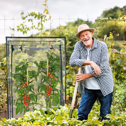 Relaxdays 10039526 cold frame/greenhouse