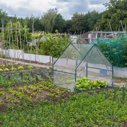 Relaxdays 10039619 cold frame/greenhouse