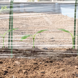 Relaxdays 10039754 geotextile - Additional view 5
