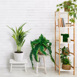 Relaxdays 10046320 dining stool