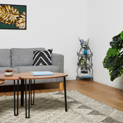 Relaxdays 10047167 shelve