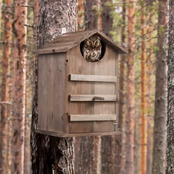 Relaxdays 10047722 nest box